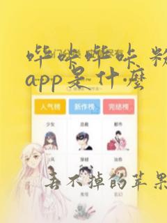 哔咔哔咔 粉色app是什么