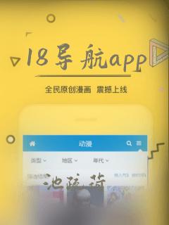 18导航app