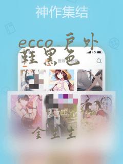 ecco 户外鞋黑色