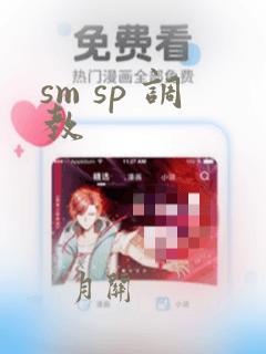 sm sp 调教