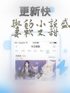 与的小说盛宠娇妻软又甜