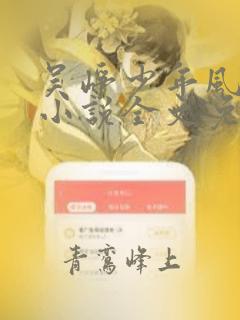 吴峥少年风水师小说全文免费阅读