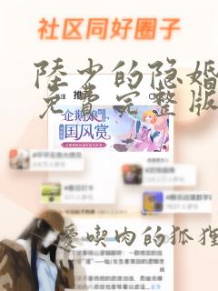 陆少的隐婚罪妻免费完整版