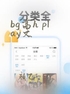 bg高h play文