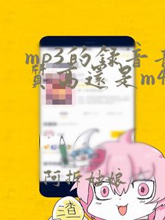 mp3的录音音质高还是m4a的录音音质高