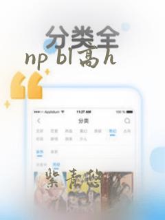 np bl高h