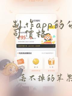 制作app的公司价格