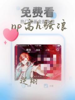 np高h骚浪