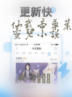 仙武帝尊叶辰楚灵儿小说