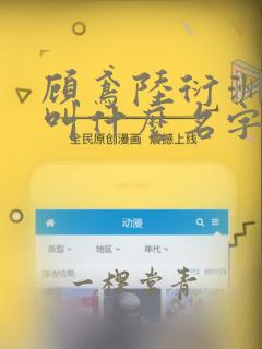 顾鸢陆衍洲小说叫什么名字