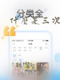 什么是三次元