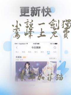 小说一剑独尊青鸾峰上免费阅读全文无窗口