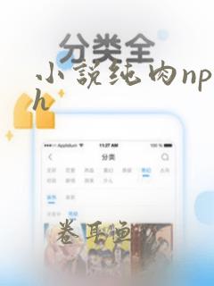 小说纯肉np高h