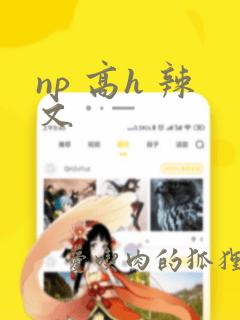 np 高h 辣文