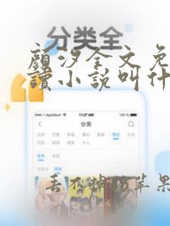 颜汐全文免费阅读小说叫什么