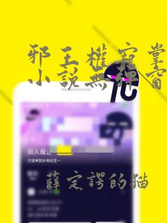 邪王权宠掌心娇小说无弹窗