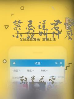 禁忌道君空无极小说叫什么名字