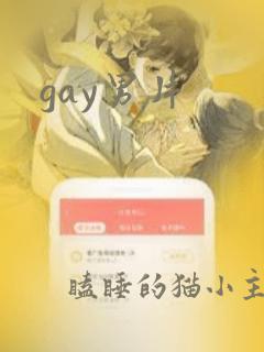 gay男片