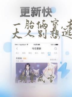 一胎俩宝,老婆大人别想逃正版