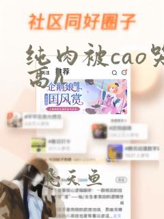 纯肉被cao哭高h