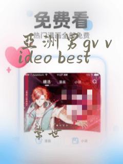 亚洲男gv video best