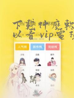 下载什么软件可以看 vip电视剧免费