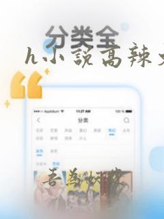 h小说高辣文