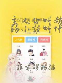 主人公叫赵小天的小说叫什么名字