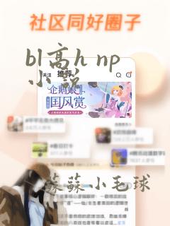 bl高h np小说