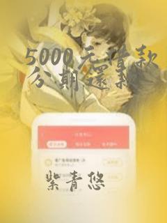 5000元借款分期还款