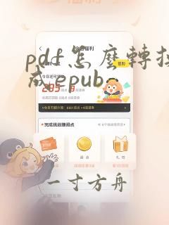 pdf怎么转换成epub