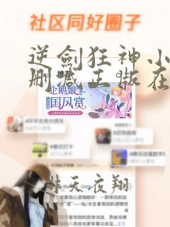 逆剑狂神小说无删减正版在线阅读