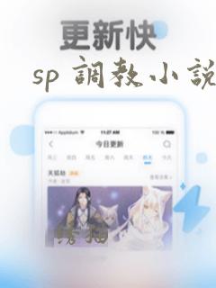 sp 调教小说