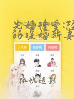 先婚后爱:陆少的暖婚新妻