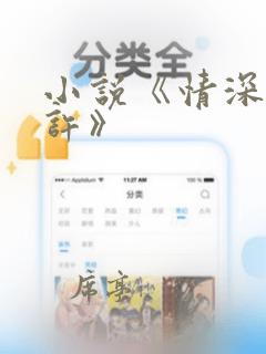 小说《情深不再许》