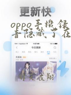 oppo手机录音隐藏了在哪里找