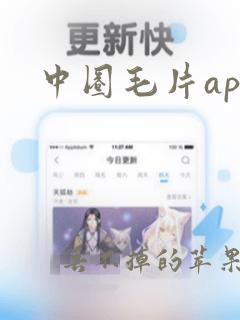 中圈毛片app