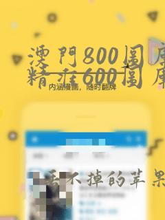 澳门800图库精准600图库