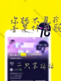 你听不见我的声音是什么歌