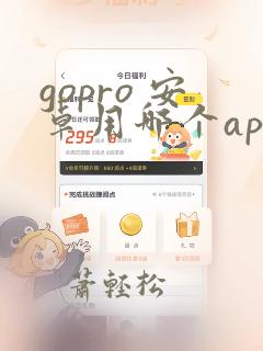 gopro 安卓用哪个app