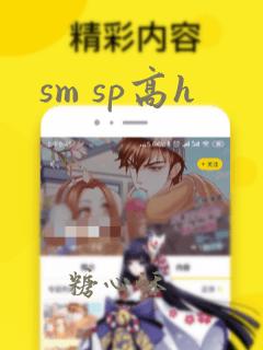 sm sp高h