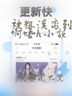 被粗汉脔到高潮啊唔h小说