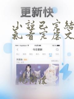 小说已完结一口气看完虐文现言