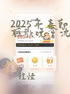 2025年春节联欢晚会沈腾