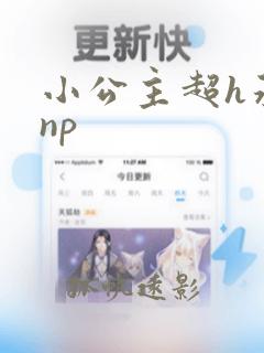 小公主超h承欢np