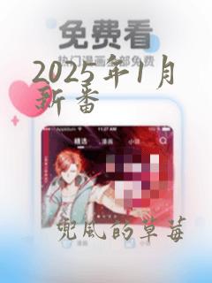 2025年1月新番