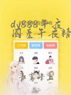 dy888午夜国产午夜精品婷婷