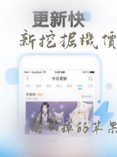 新挖掘机价格