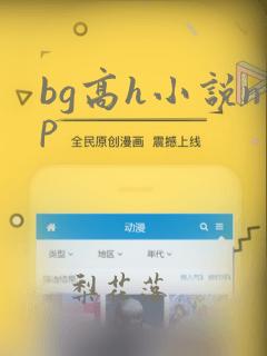 bg高h小说np