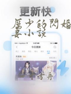 厉少的闪婚小娇妻小说